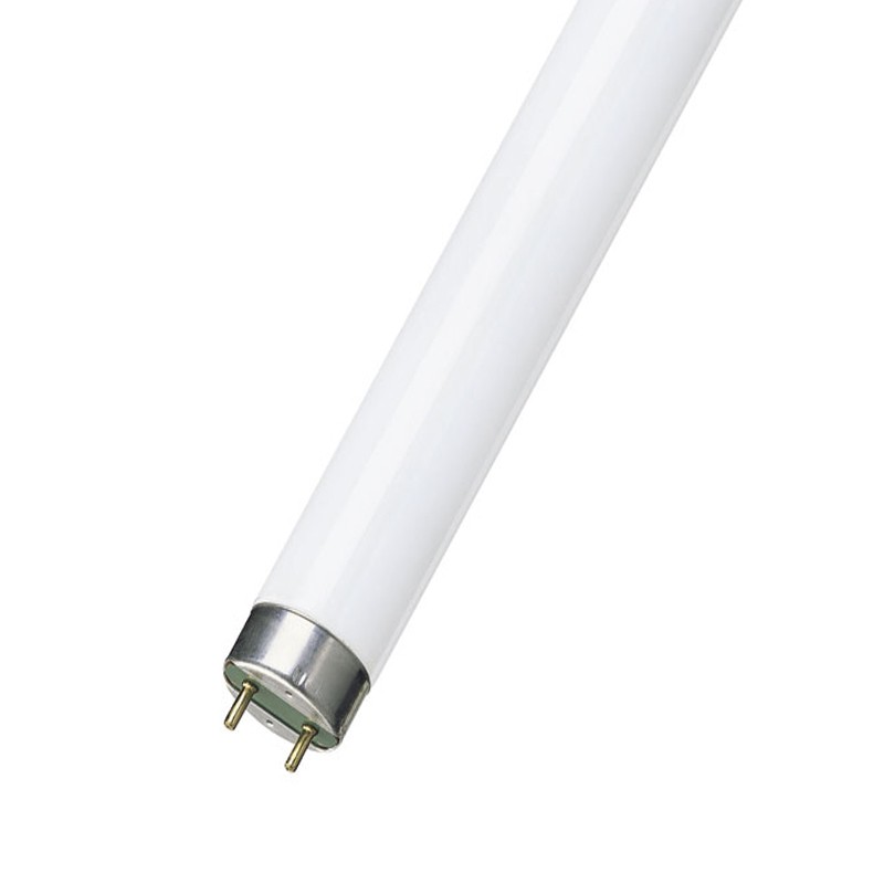 Leuci lampada neon 36w t8 26mm luce solare